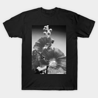 Black and White Hollyhock close-up T-Shirt